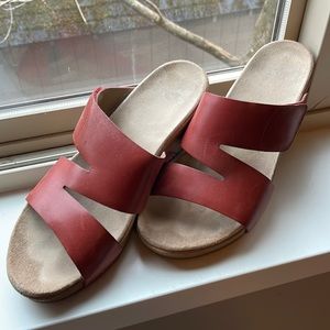Dansko slides